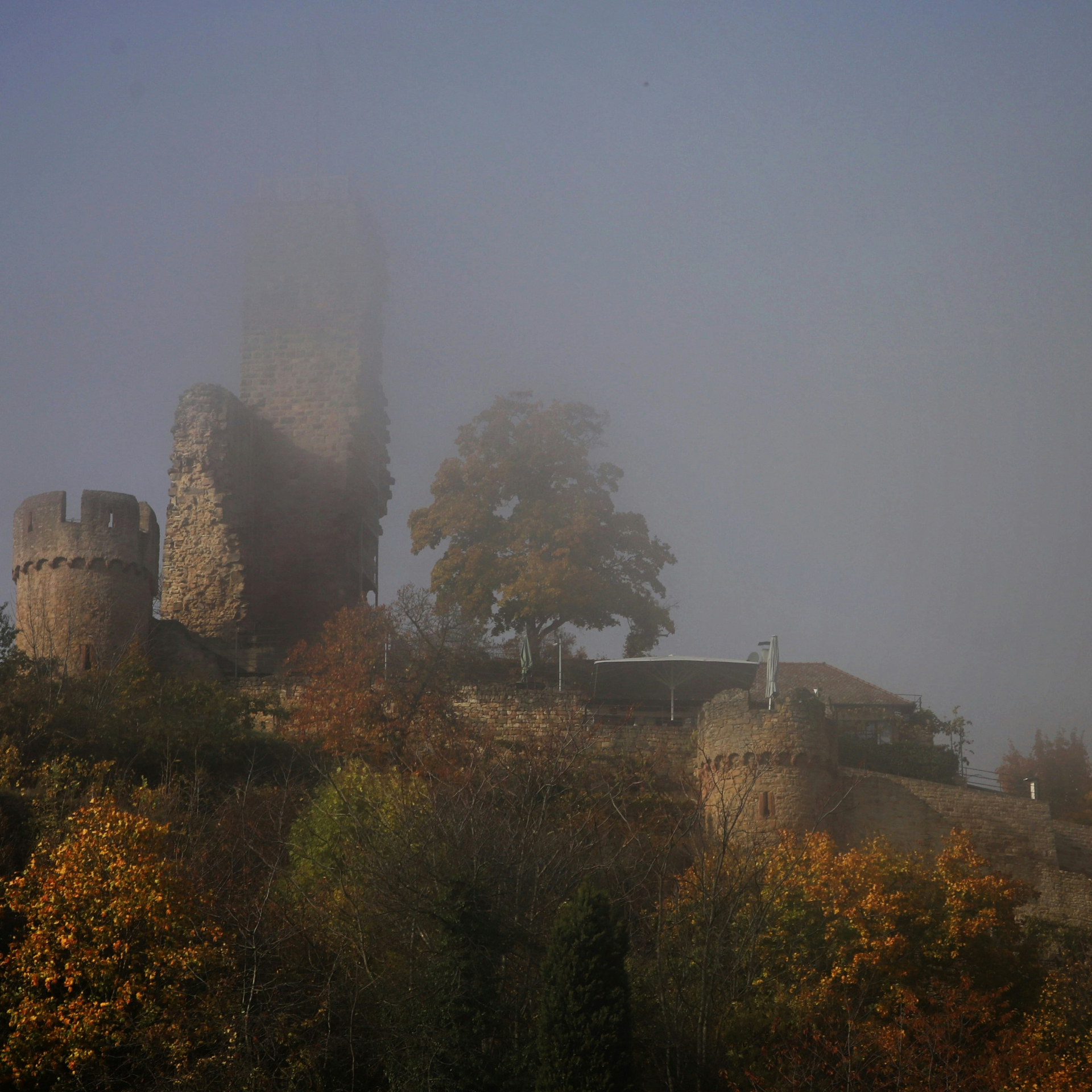 Die Burg Wachtenburg von der Seite von Nebel verhüllt - Foto von Bernd Dittrich